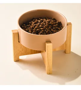 Détail d'un bol en céramique mate pour animaux avec support en bois et croquettes