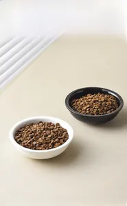 Close-up of ceramic pet bowls with smooth glazed surface and dry kibble for cats