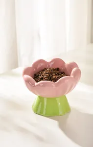 Détail du bol tulipe en céramique rose pour animaux avec socle vert et croquettes