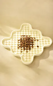 Detail showing slow feeder pet bowl with star-shaped pillars and brown dry kibble