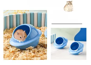 Ceramic hamster hideout with planet design and cloud pattern for cooling pet habitat