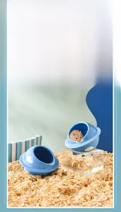 Ceramic UFO hamster cooling hideout with embossed cloud patterns on wood shavings