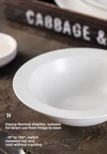 Dettaglio stabilità termica della ciotola in ceramica da -20°C a 180°C per forno