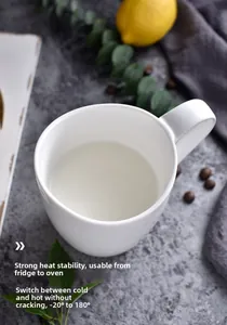 Thermal shock resistant white ceramic mug shown in -20°C to 180°C temperature test