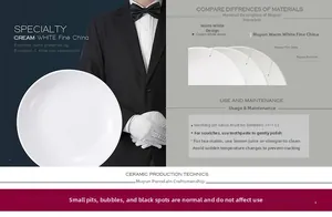 Detailed view of cream-white fine china ceramic plate for high-end restaurant use