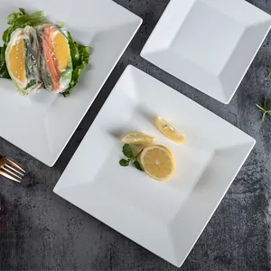 Minimalist white square ceramic dinner plates for steak and pasta on a stone background