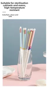 Detailed view of high-grade ceramic chopsticks with heat-resistant geometric pattern tips