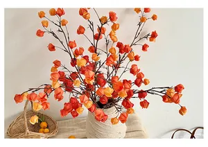 Dettaglio di rami di physalis artificiali in un vaso di ceramica bianca decorativo