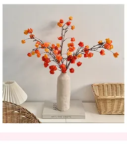 Dettaglio di rami di physalis artificiali in un vaso di ceramica per la casa