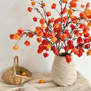 Rami di physalis artificiali con frutti arancioni in un vaso bianco per l'arredamento