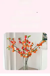 Détail de fleurs de Physalis orange vif dans un vase en verre pour décoration intérieure
