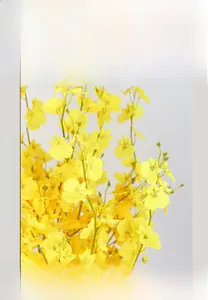 Detail showing vibrant yellow artificial Dancing Lady Orchids with elegant green stems