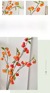 Détail macro de branches de Physalis artificielles avec des baies orange et des feuilles