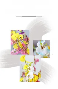 Macro detail of vibrant artificial dancing lady orchids with realistic petals and textures