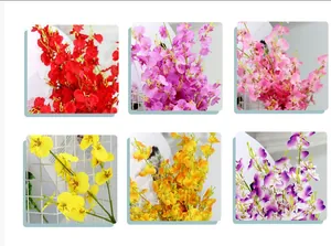 Close-up of silk dancing lady orchids showing six vibrant colors for home floral decor