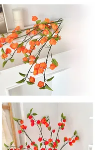 Détail de plantes de physalis orange sur cheminée blanche pour décor élégant
