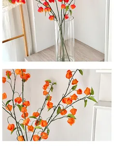 Détails de cerises d'hiver orange vif avec textures réalistes dans un vase en verre