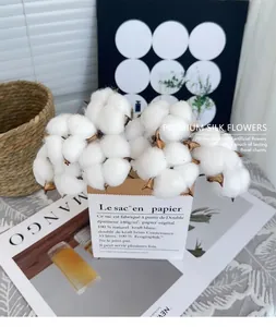 Detailed view of dried cotton flower stems in a white French style kraft paper bag container