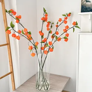 Plante lanterne chinoise orange vif dans un vase en verre pour décoration de table