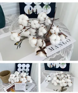 Close-up of white cotton flower branches with natural wooden stems for home decor