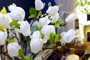 Gros plan détaillé de pétales de magnolia blanc réalistes avec texture naturelle et bourgeons