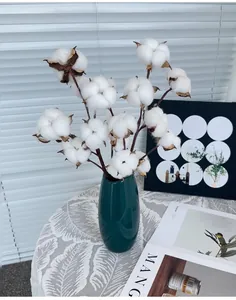 Natural dried cotton stems in a dark green ceramic vase on a table with Nordic style