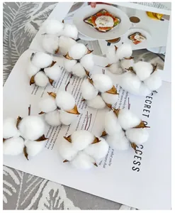 Macro shot of nine natural dried cotton flower heads on a vintage magazine page