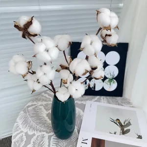 Natural dried cotton stems in a dark green ceramic vase for home decor and floral arrangements