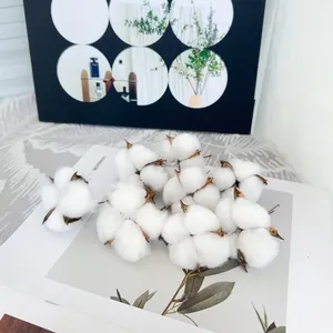 Natural dried cotton bolls arranged on a magazine for rustic home decor and floral crafts