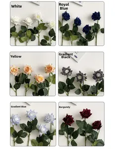 Macro view of realistic silk roses in six colors with detailed petals and green leaves