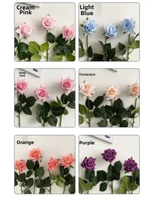 Detailed grid showing six lifelike artificial roses in pink blue and orange colors