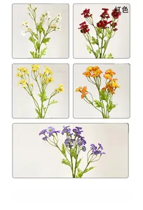 Detailed assortment of artificial chamomile daisies in five vibrant color variations