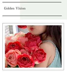 Close-up of pink and red gradient artificial roses held by a child in striped dress