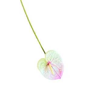 Realistische 3D geprinte anthurium kunstbloem met kleurverloop roze en groen op wit