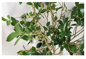 Gros plan de feuilles de banyan artificielles avec nervures dans un vase en verre