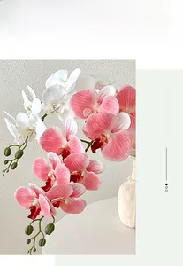 Detail of pink and white Phalaenopsis orchids in a ceramic vase with pearl accents