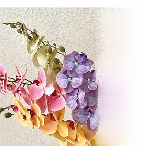 Detailed view of four realistic orchid colors: purple, pink, yellow, and cream white