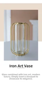 Detail of modern champagne gold wire frame vase with internal transparent glass cylinder