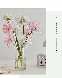 Artistic display of pink and white Lycoris flowers in a clear glass vase on a desk
