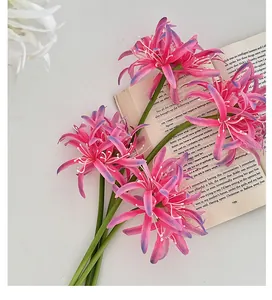 Detailed close-up of pink Lycoris lily petals with realistic texture and white stamens