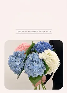 Close-up of realistic 3D moisturizing hydrangea petals in blue and light pink