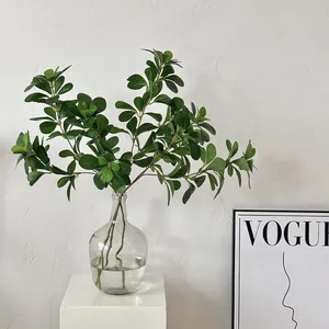 Pianta Polyscias artificiale in vaso di vetro per decorazioni minimaliste di casa e ufficio