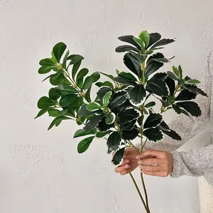 Foglie di Polyscias artificiali e piante verdi finte per casa e decorazioni