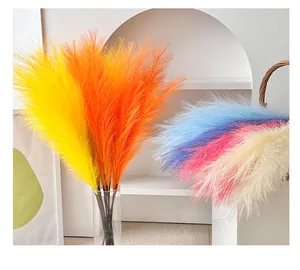 Détail de l'herbe de pampa artificielle colorée pour décoration d'intérieur