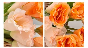 Dettaglio ravvicinato di petali di eustoma artificiale color champagne e arancione