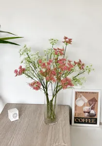 Close-up of pink and white lace flowers in a clear glass vase for modern home decor