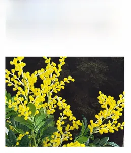 Détail de fleurs d'acacia mimosa artificielles jaunes avec texture de boules douces