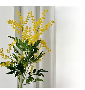 Gros plan de fleur de mimosa acacia jaune avec pétales pelucheux et feuilles pennées vertes