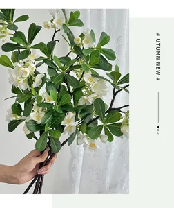 Détail de branche de Pittosporum imprimée en 3D avec fleurs blanches et feuilles