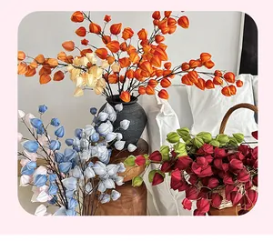 Detail of colorful artificial physalis branches in a black ceramic vase for home decor
